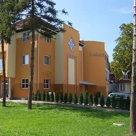 Borhotel 3*